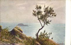 Fantasy CPA Landscape Painting