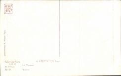 Fantasy CPA J Leepoels gulls gulls Art