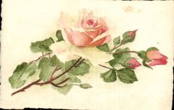 Phantasie CPA bluht Rosen