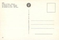 CPM Roma la fontaine de trevi nocturne