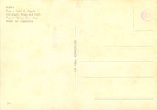 CPM Roma pont et chateau saint ange