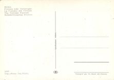 CPM Roma la fontaine des tortues