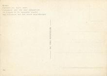 CPM Roma le colysee et les nouvlles