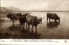 CPA Wohnzimmer der Paris planquette Rinder und der Arbeit Scot