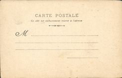 Elegant CPA (woman wraps)