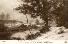 Fantasy CPA Salon of Paris has Rigolot Effet of snow