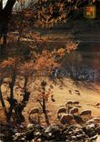 CPM Andorra Valls d'Andorra Paysage