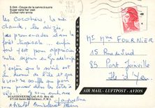 CPM Saint Barthelemy Coupe de la canne a sucre