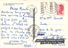 CPM Saint Barthelemy Cocotier et Fleurs sur plage