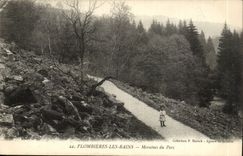 Plombieres les Bains CPA Moraines of the park