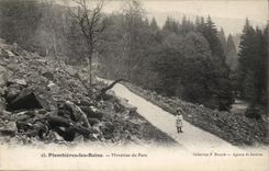 Plombieres les Bains CPA Moraines of the park