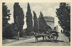 CPA Roma Tomba di Cecilia Metella Attelage Cheval