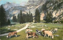 CPA Vaches dans les pres Suisse