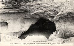 Vaucluse CPA the pit during low waters and the secular fig tree