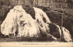 Balsam the Sirs CPA Cascades of Tuis