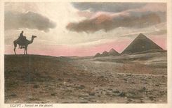 CPA Egypte Coucher du soleil au desert