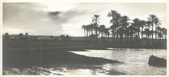 CPA Le Caire Paysage aux bords du Nil
