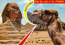 CPM Greetings from the Land of Pyramids Souvenirs from Egypt