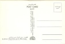 CPM Cairo Sultan Hassan and El Riffaie Mosque