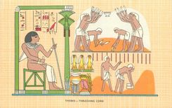 CPM Thebes Thrashing Corn