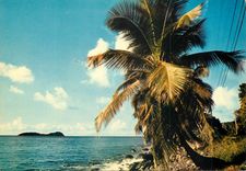 CPM Rivage caraibe