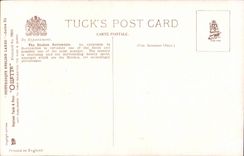 CPA Phantasie die Birken Borrowdale