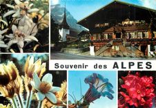 CPM Alpes souvenir