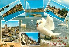 CPM Lac Leman Nyon le port et le chateau geneve le jet d'eau 130 m et le mont blanc 4810 m