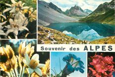 CPM Alpes souvenir
