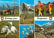 CPM Lac Leman chateau de chillon geneve le jet d'eau yvoire cite mediavale (XIVe s) evian le casino Thonon le belvedere 