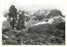 CPM Starlexgruppe tarmagur aus (Scartad)