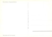 CPM Rheinfelden fliegeraufnahme