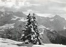 CPM Les Diablerets Perle des Alpes Vaudoises