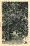 Noirmoutier CPA Allee de l'estacade