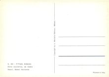 CPM Pittura romana diana cacciatrice da stabia napoli museo nazionale