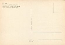 CPM Roma pont et chateau saint ange