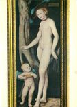 CPM Roma galleria borghese lucas cranach (1427 1553) venus et eros