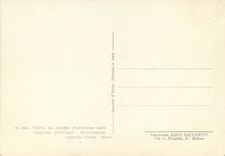 CPM Roma Testa di adamo (particolare della creazione dell uomo) michelangelo cappella sistina