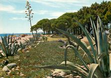 CPM Cambrils Tarragona Plage de Vilafortuny