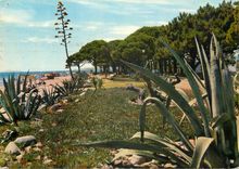 CPM Cambrils Tarragona Plage de Vilafortuny