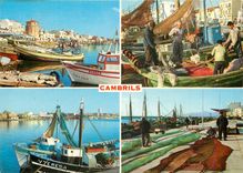 CPM Cambrils (tarragona) costa dorada divers aspects de la ville Bateaux