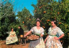 CPM Valencia Having paella at an orange orchard 