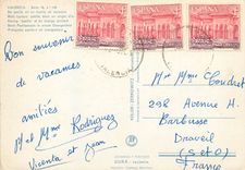 CPM Valencia Having paella at an orange orchard 