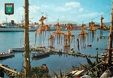 CPM Gandia Vue partielle du port 