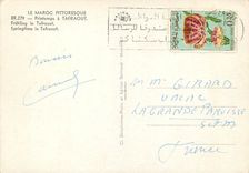 CPM Le Maroc Pittoresque Tafraout Ane Donkey