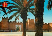 CPM Taroudant Palmiers 
