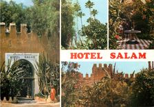 CPM Taroudant Palais Salam 