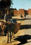 CPM Remparts de Taroudant Ane Donley