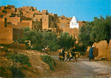 CPM Le Maroc Pittoresque Tinerhir Ane Donkey