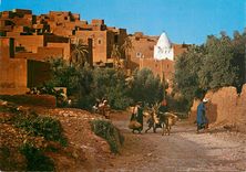 CPM Le Maroc Pittoresque Tinerhir Ane Donkey